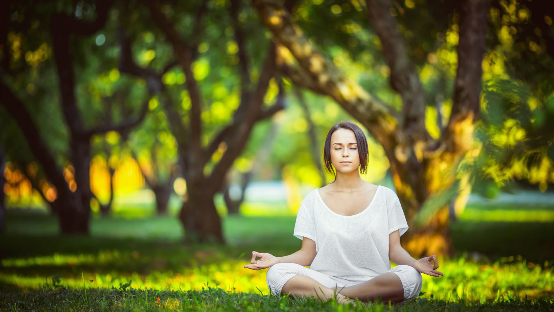 爱游戏入口-勒沃库森回击争议、本菲卡回暖、公牛压哨绝杀，全球体坛一日三惊